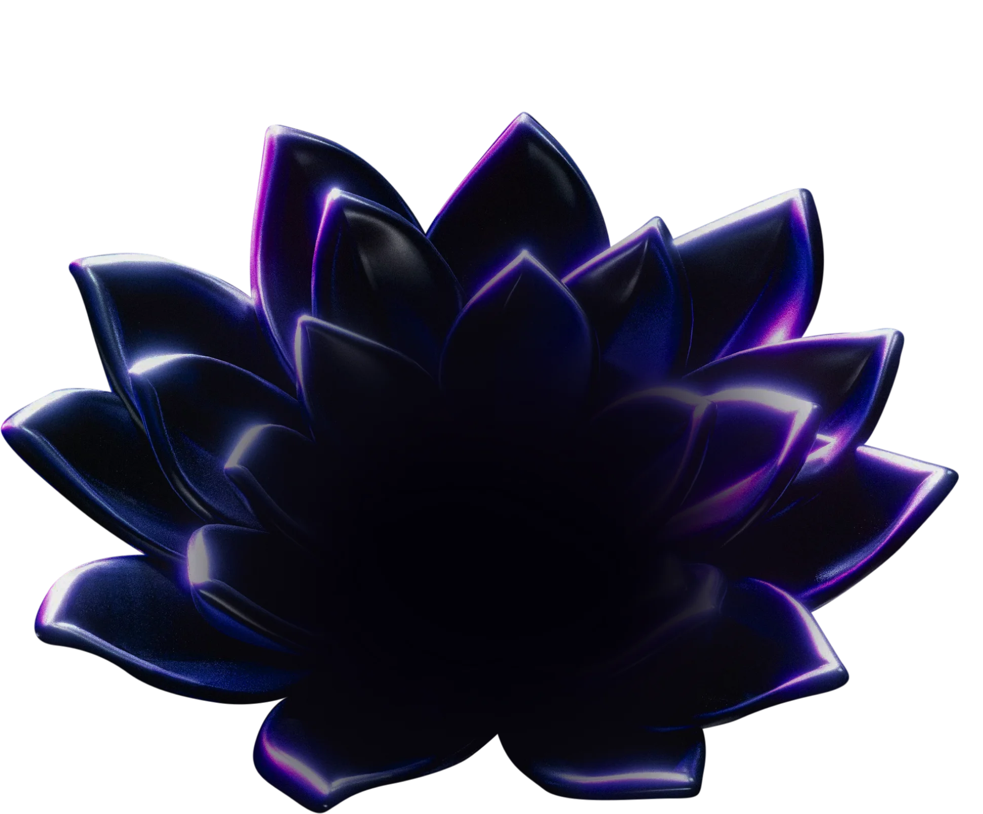 Daaf Fusion Blume